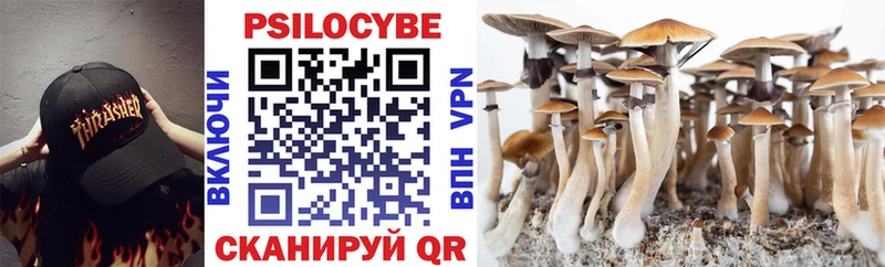 даркнет Telegram  Чулым  Псилоцибиновые грибы Magic Shrooms 